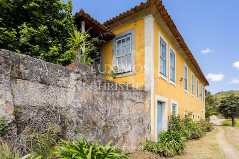 Farm i Baiao, Porto, Baiao - € 1.150.000 | Ref: LS04226 - foto 6