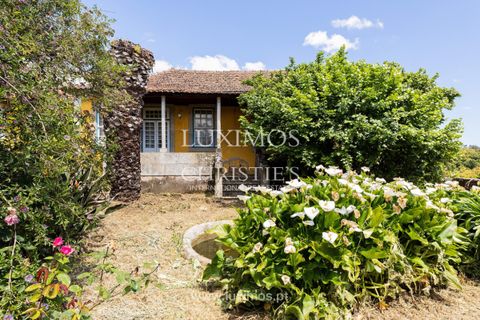 Farm i Baiao, Porto, Baiao - € 1.150.000 | Ref: LS04226 - foto 8