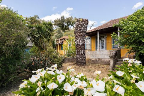 Farm i Baiao, Porto, Baiao - € 1.150.000 | Ref: LS04226 - foto 9