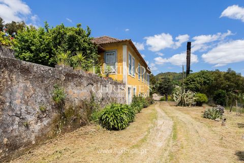 Farm i Baiao, Porto, Baiao - € 1.150.000 | Ref: LS04226 - foto 10