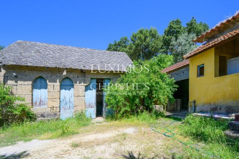 Farm i Baiao, Porto, Baiao - € 1.150.000 | Ref: LS04226 - foto 11
