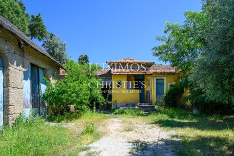 Farm i Baiao, Porto, Baiao - € 1.150.000 | Ref: LS04226 - foto 12