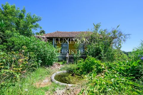 Farm i Baiao, Porto, Baiao - € 1.150.000 | Ref: LS04226 - foto 14