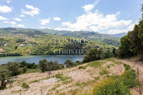 Farm i Baiao, Porto, Baiao - € 1.150.000 | Ref: LS04226 - foto 15