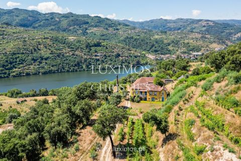 Farm i Baiao, Porto, Baiao - € 1.150.000 | Ref: LS04226 - foto 16