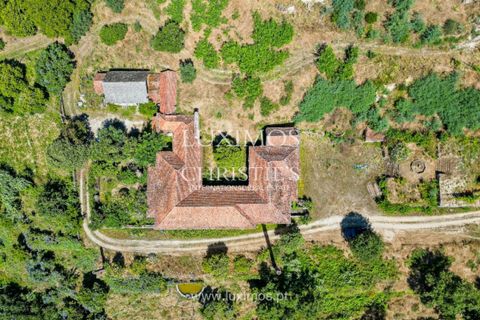 Farm i Baiao, Porto, Baiao - € 1.150.000 | Ref: LS04226 - foto 17
