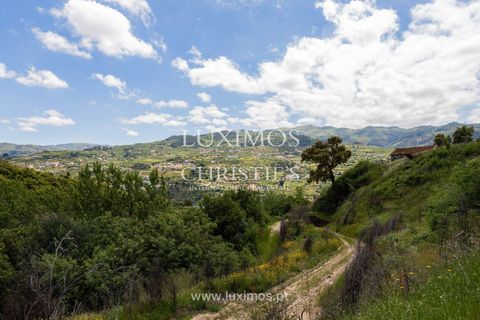 Farm i Baiao, Porto, Baiao - € 1.150.000 | Ref: LS04226 - foto 18