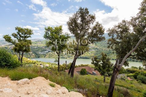 Farm i Baiao, Porto, Baiao - € 1.150.000 | Ref: LS04226 - foto 19