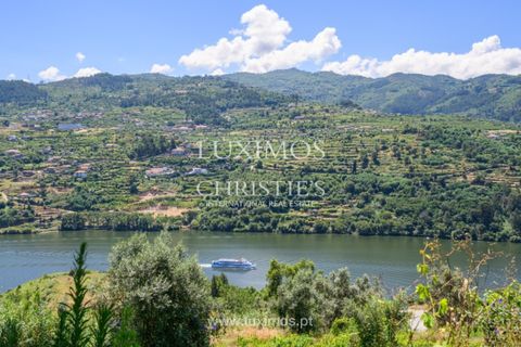 Farm i Baiao, Porto, Baiao - € 1.150.000 | Ref: LS04226 - foto 20