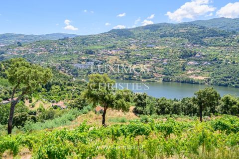 Farm i Baiao, Porto, Baiao - € 1.150.000 | Ref: LS04226 - foto 21