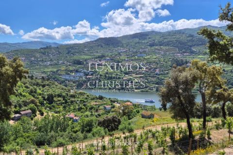 Farm i Baiao, Porto, Baiao - € 1.150.000 | Ref: LS04226 - foto 22