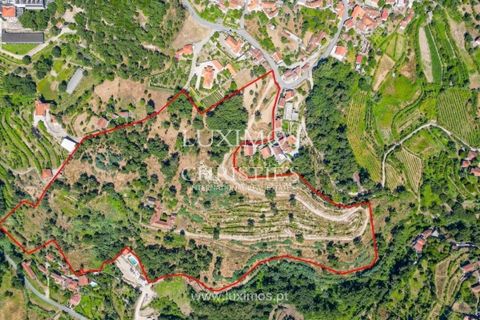 Farm i Baiao, Porto, Baiao - € 1.150.000 | Ref: LS04226 - foto 23