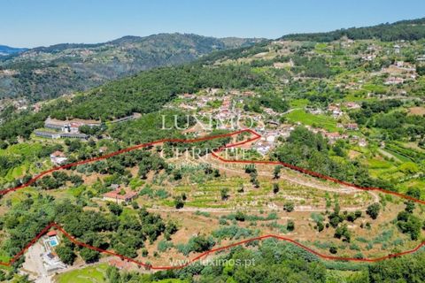 Farm i Baiao, Porto, Baiao - € 1.150.000 | Ref: LS04226 - foto 24