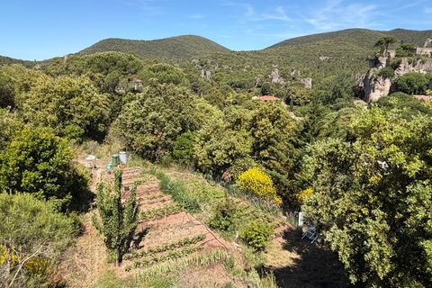 Villa a Moureze, Herault, Moureze - € 595.000 | Ref: 340936819267 - foto 5