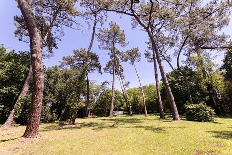 Haus in Labenne, Landes, Labenne - € 900.000 | Ref: 340938558485 - Foto 3