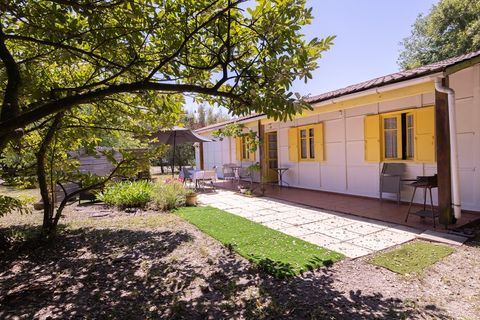Haus in Labenne, Landes, Labenne - € 900.000 | Ref: 340938558485 - Foto 19