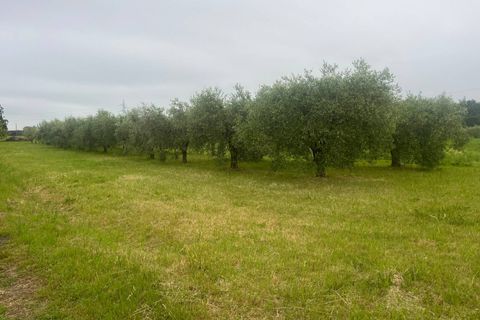 Helårsgrund i Cascina, Pisa, Cascina - € 130.000 | Ref: 2026125 - foto 5