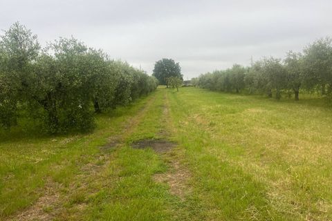 Helårsgrund i Cascina, Pisa, Cascina - € 130.000 | Ref: 2026125 - foto 6