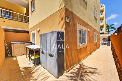 Lejlighed i Palm Mar, Tenerife, Palm Mar - € 320.000 | Ref: 1381 - foto 3