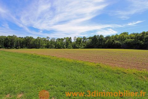 Villa a Chaussin, Jura, Chaussin - € 288.000 | Ref: DN54222623UBI - foto 21