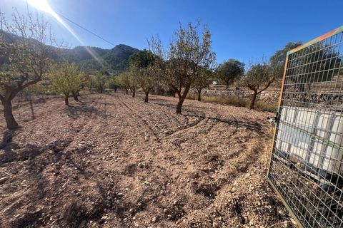 Byhus i La Zarza, Murcia, La Zarza - € 45.995 | Ref: 68024-2605 - foto 7