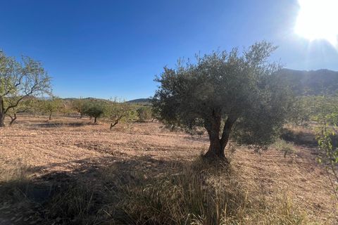 Byhus i La Zarza, Murcia, La Zarza - € 45.995 | Ref: 68024-2605 - foto 18