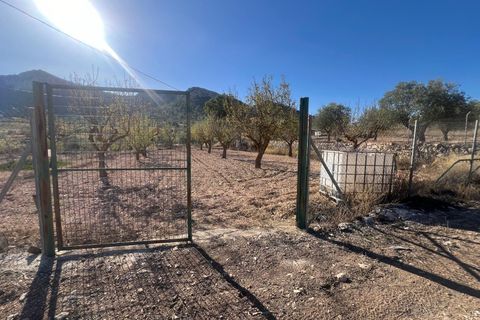 Byhus i La Zarza, Murcia, La Zarza - € 45.995 | Ref: 68024-2605 - foto 19