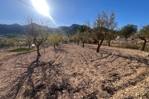 Byhus i La Zarza, Murcia, La Zarza - € 45.995 | Ref: 68024-2605 - foto 20