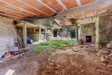 Byhus i Sabugal, Guarda, Sabugal - € 46.000 | Ref: 111260104 - foto 3