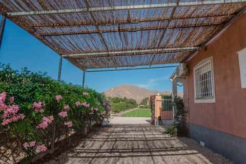 Landejendom i Orihuela, Alicante, Orihuela - € 379.950 | Ref: LF-45305 - foto 4