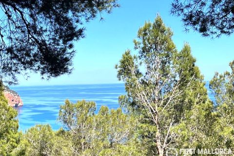 Terra a Canyamel, Mallorca, Canyamel - € 690.000 | Ref: 83853 - foto 3