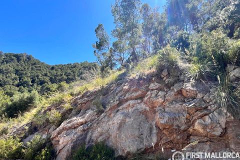 Terra a Canyamel, Mallorca, Canyamel - € 690.000 | Ref: 83852 - foto 2