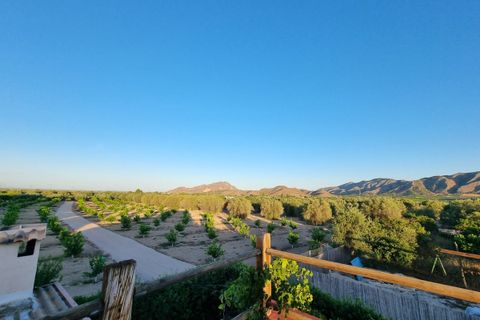Landejendom i Benferri, Alicante, Benferri - € 147.000 | Ref: CSPX-88507 - foto 18