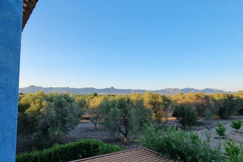 Landejendom i Benferri, Alicante, Benferri - € 147.000 | Ref: CSPX-88507 - foto 19
