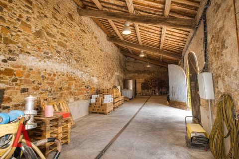 Villa a Gabian, Herault, Gabian - € 320.000 | Ref: 342436658 - foto 6