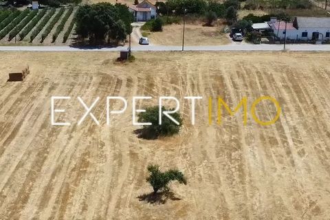 Helårsgrund i Palmela, Setubal, Palmela - € 265.000 | Ref: TER_2737_ACDO - foto 5