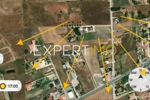 Helårsgrund i Palmela, Setubal, Palmela - € 265.000 | Ref: TER_2737_ACDO - foto 9