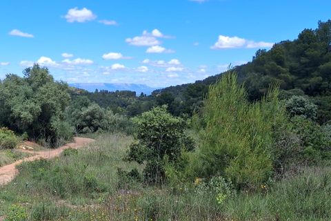 Helårsgrund i Rasquera, Tarragona, Rasquera - € 50.000 | Ref: EXP14478/8930 - foto 2