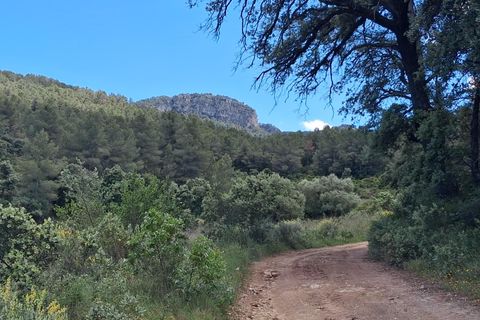 Helårsgrund i Rasquera, Tarragona, Rasquera - € 50.000 | Ref: EXP14478/8930 - foto 3
