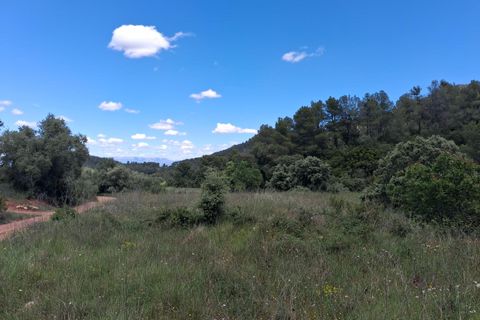 Helårsgrund i Rasquera, Tarragona, Rasquera - € 50.000 | Ref: EXP14478/8930 - foto 4