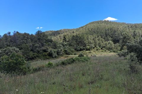 Helårsgrund i Rasquera, Tarragona, Rasquera - € 50.000 | Ref: EXP14478/8930 - foto 5