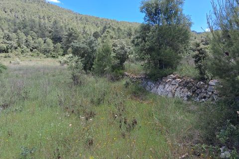 Helårsgrund i Rasquera, Tarragona, Rasquera - € 50.000 | Ref: EXP14478/8930 - foto 6