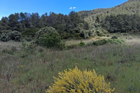 Helårsgrund i Rasquera, Tarragona, Rasquera - € 50.000 | Ref: EXP14478/8930 - foto 7
