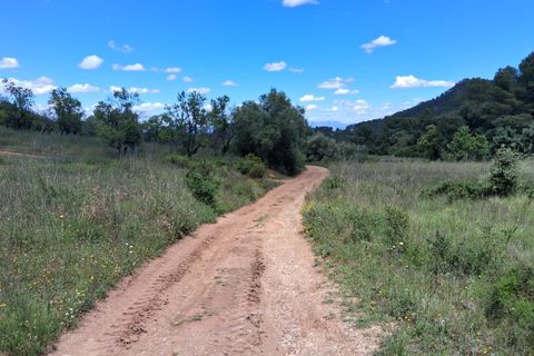 Helårsgrund i Rasquera, Tarragona, Rasquera - € 50.000 | Ref: EXP14478/8930 - foto 8