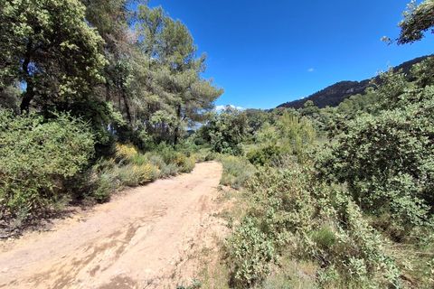 Helårsgrund i Rasquera, Tarragona, Rasquera - € 50.000 | Ref: EXP14478/8930 - foto 10