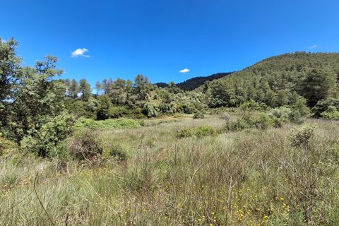 Helårsgrund i Rasquera, Tarragona, Rasquera - € 50.000 | Ref: EXP14478/8930 - foto 11