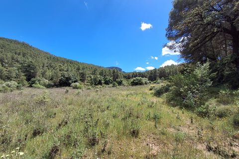 Helårsgrund i Rasquera, Tarragona, Rasquera - € 50.000 | Ref: EXP14478/8930 - foto 17