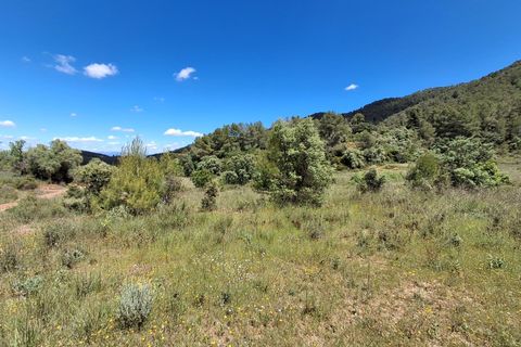 Helårsgrund i Rasquera, Tarragona, Rasquera - € 50.000 | Ref: EXP14478/8930 - foto 18