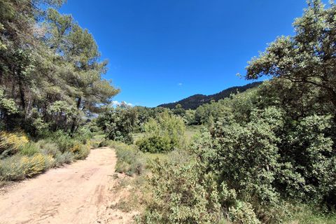 Helårsgrund i Rasquera, Tarragona, Rasquera - € 50.000 | Ref: EXP14478/8930 - foto 21