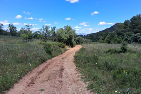 Helårsgrund i Rasquera, Tarragona, Rasquera - € 50.000 | Ref: EXP14478/8930 - foto 22